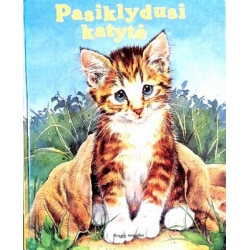 Pasiklydusi katytė